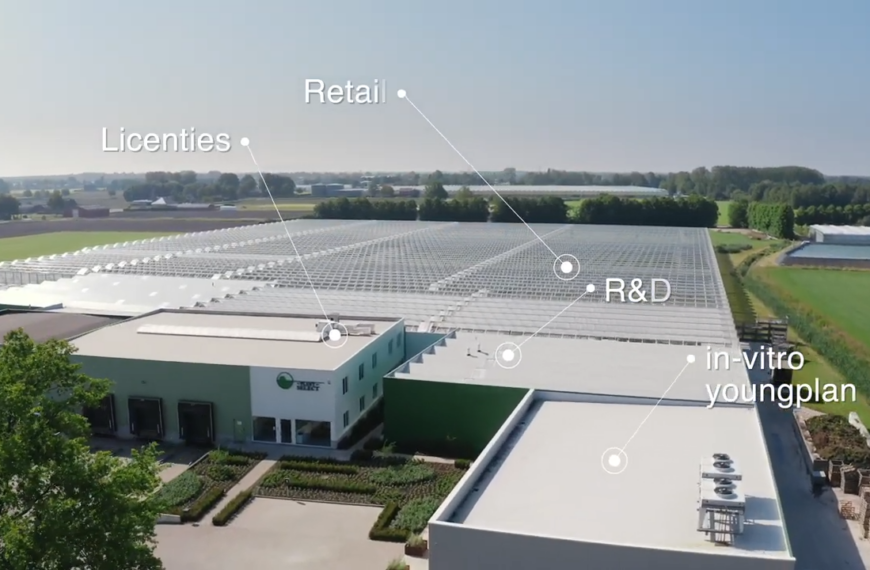 Plant Select Rijkevorsel
