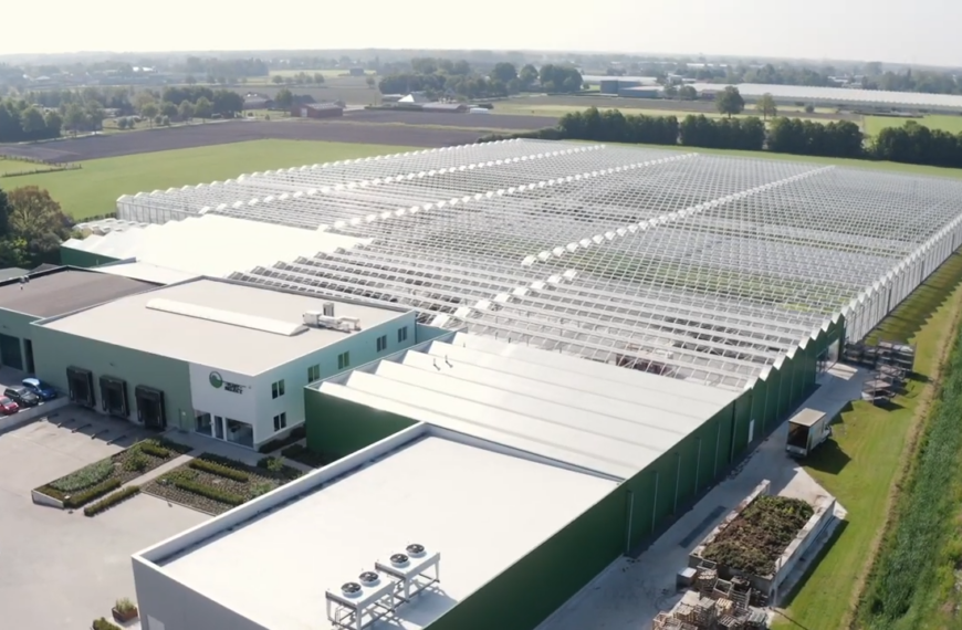 Plant Select Rijkevorsel